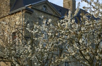 Château à vendre Lamballe, Le Tertre Rogon, Bretagne, Image 22/25