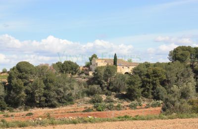 Manoir à vendre Vila-rodona, Catalogne, Image 3/37