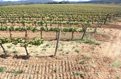 Manoir à vendre Vila-rodona, Catalogne, Image 9/37