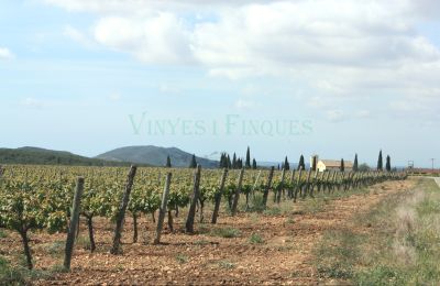 Manoir à vendre Vila-rodona, Catalogne, Image 8/37