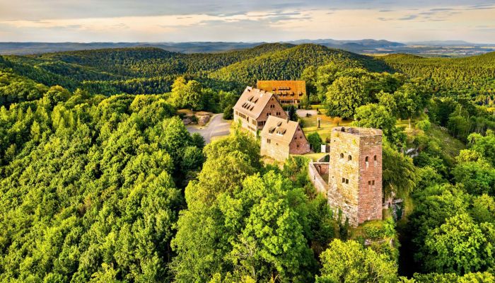 Château médiéval à vendre 67330 Dossenheim-sur-Zinsel, Grand-Est,  France