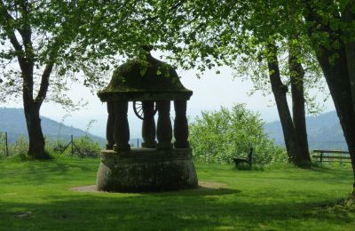 Château médiéval à vendre 67330 Dossenheim-sur-Zinsel, HUNEBOURG, Grand-Est, Image 8/12