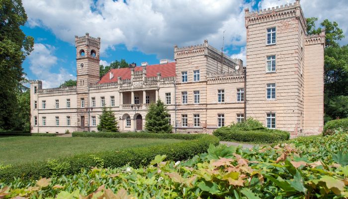 Château à vendre Gościeszyn, Grande-Pologne,  Pologne