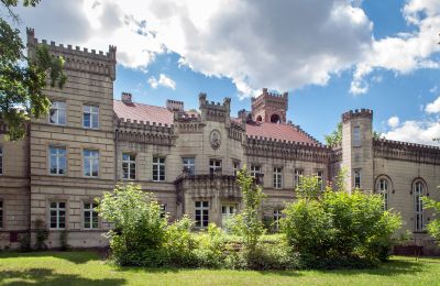 Kasteel te koop Gościeszyn, Pałac w Gościeszynie, województwo wielkopolskie, Achteraanzicht