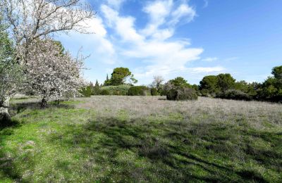 Landelijk huis te koop Uzès, Occitanie, Eigendom