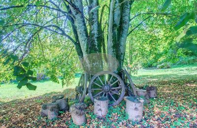 Manoir à vendre Lourdes, Occitanie, Jardin