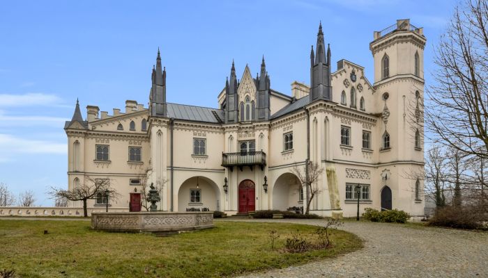 Château à vendre Patrykozy, Mazovie,  Pologne