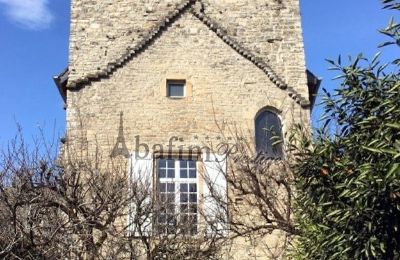 Historische villa te koop Sauveterre-de-Béarn, Nouvelle-Aquitaine, Foto 3/20