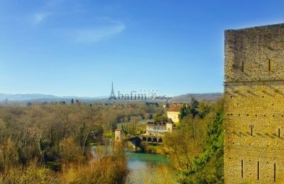 Historische villa te koop Sauveterre-de-Béarn, Nouvelle-Aquitaine, Foto 1/20