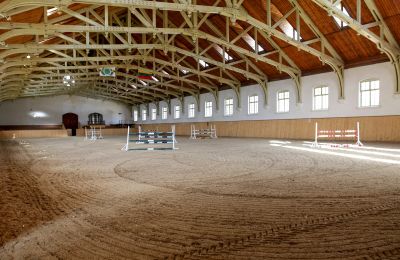 Propriété historique à vendre Žagariškiai, Šiaulių apskritis, Manège couvert