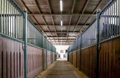 Propriété historique à vendre Žagariškiai, Šiaulių apskritis, Boxes pour chevaux