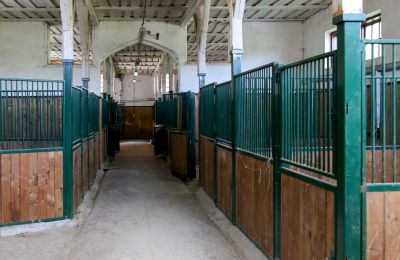 Propriété historique à vendre Žagariškiai, Šiaulių apskritis, Boxes pour chevaux