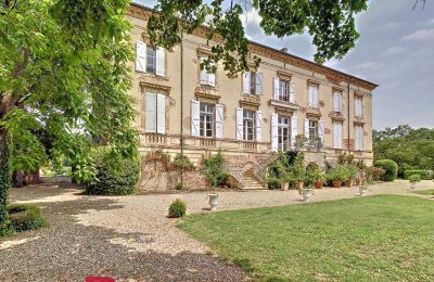 Kasteel te koop 31000 Toulouse, Occitanie, Achteraanzicht