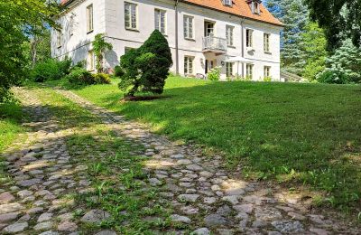 Manoir à vendre Dawidy, Dwór w Dawidach, Varmie-Mazurie, Vue de l'arrière