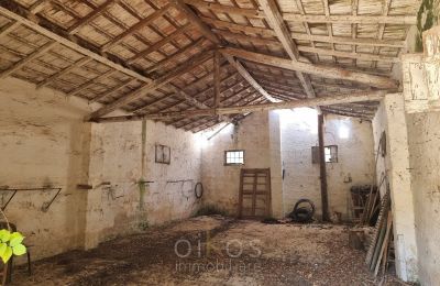 Villa historique à vendre Mesagne, Pouilles, Image 28/37