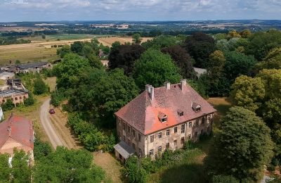 Château à vendre Kostrzyna, Basse-Silésie, Image 1/16