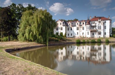 Propriétés, Château en Basse-Silésie (Pałac w Dobrocinie)