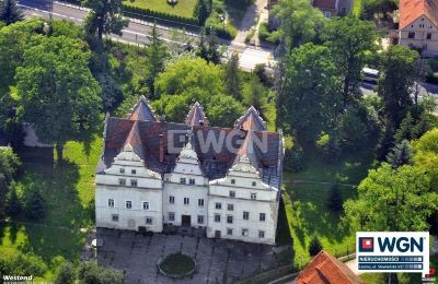 Château à vendre Wilków Wielki, Zamek w Wilkowie Wielkim, Basse-Silésie,, Photo Drone