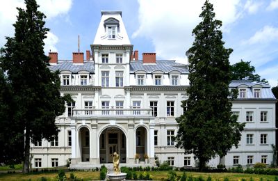 Propriétés, Château de Malina - manoir entièrement rénové au cœur de la Pologne