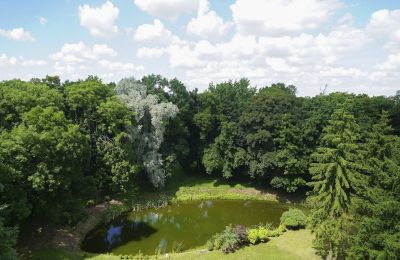 Kasteel te koop Malina, Pałac Malina, województwo łódzkie, Park