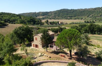 Maison de campagne à vendre Montescudaio, Toscane, RIF 2185 Blick auf Anwesen