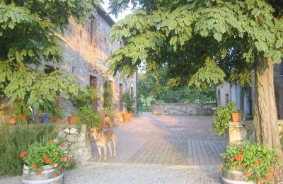 Maison de campagne à vendre Arezzo, Toscane, RIF2262-lang6#RIF 2262 Blick auf den Hof zwischen Haupthaus und Nebengebäude