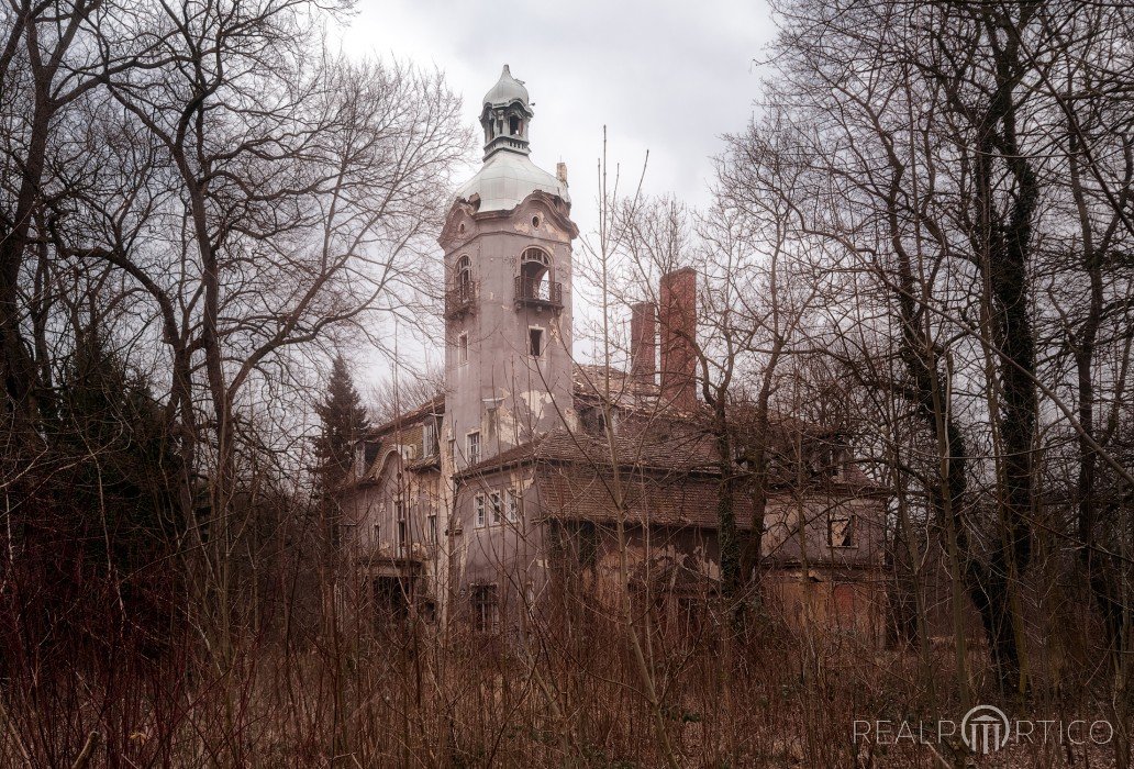 Villa Weltfrieden in Zeitz, Zeitz